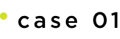 case 01