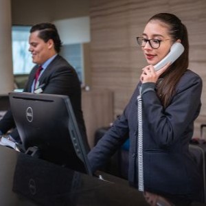 実務経験を積む絶好の機会