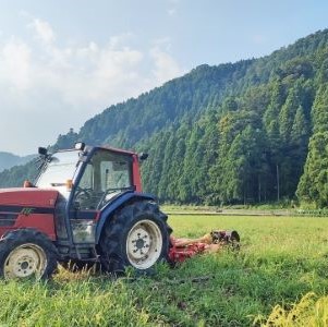 体験談1: 農業での住み込み勤務