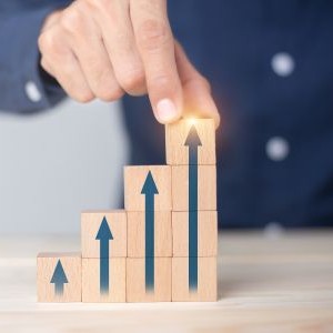 ケーススタディ:Dさんのキャリア変革