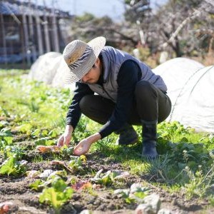 特に注目されるのは農業の分野です。