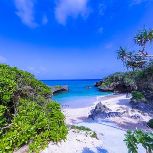 訳 あり 住み込み 仕事