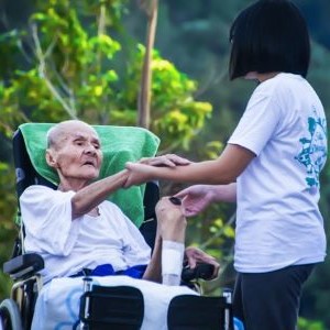 有料職業紹介で人気の職種